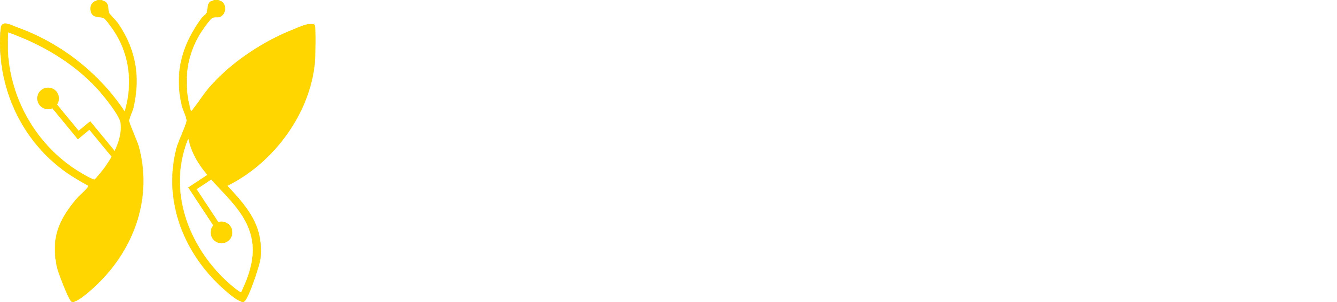 Nivision Logo